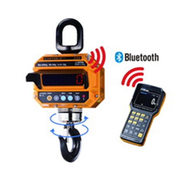 Весы крановые электронные Cas 5THD TWN